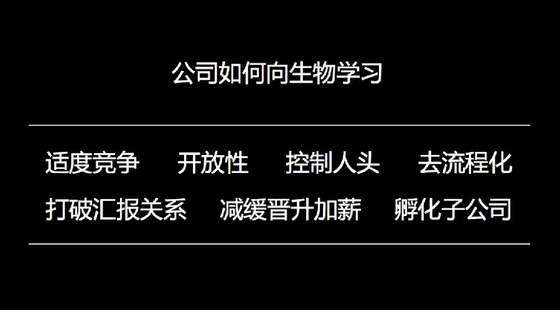 王小川谈企业成长：从蝴蝶效应到六爻八卦